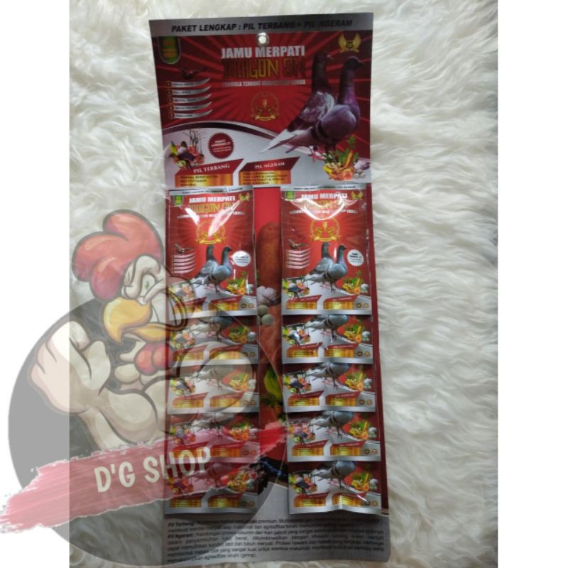 MERPATI SN 1 Renteng Jamu Ayam Jago Aduan Bangkok Thailand