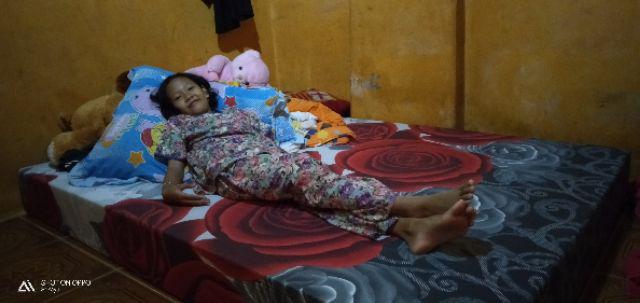 Kasur Busa Inoac Eom D24 Yellow Tebal 20 Cm Original Semua Ukuran Garansi 15 Tahun