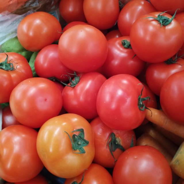 

Tomat fresh