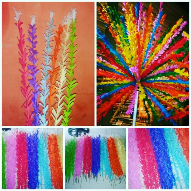 Akar kelapa / kembang mayang