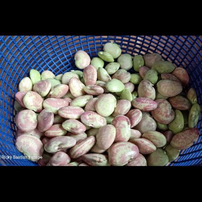 

Kacang Koro Kupas || 100gr