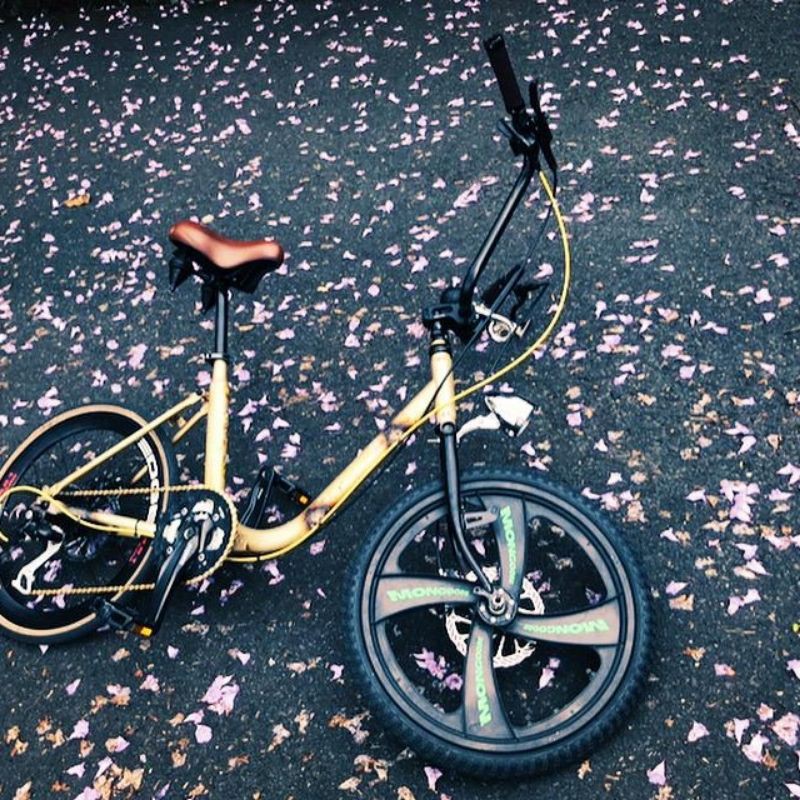 Sepeda Minion Minion Bike Spek Lumayan Sultan Shopee Indonesia