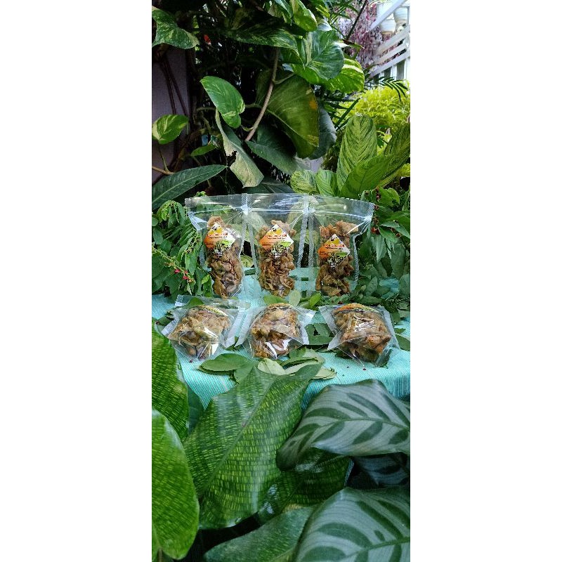 

Pangsit Daun Katuk Abon