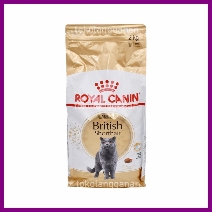 Royal Canin Makanan Kucing British Shorthair 2 Kg