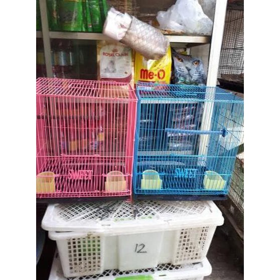 kandang sg marmut kelinci bajing tupai dan burung serta hewan kecil la