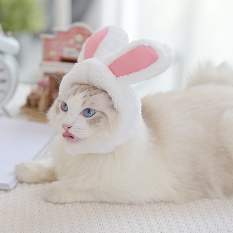 Topi Kostum Halloween Untuk Anjing / Kucing Peliharaan