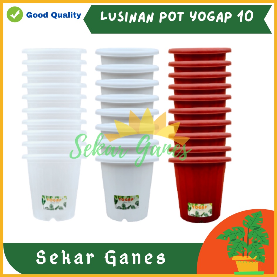 LUSINAN Pot Yogap 10 Putih Transparan Bening Merah Bata Isi 12 pcs Pot Yogap 10 13 15 17 18 19 Pot Yogap Bening LUSINAN POT YOGAP MURAH