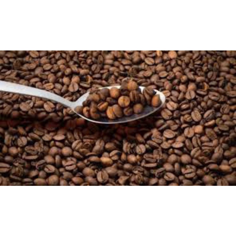 

Arabica arjuno 250g-Murah