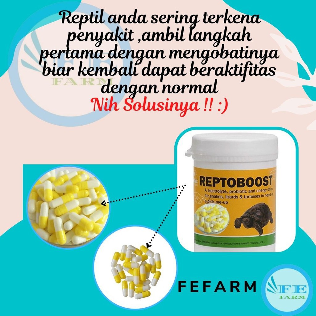 KAPSUL ECER OBAT REPTIL OBAT PILEK PNEMONIA PENAMBAH NAFSU MAKAN REPTOBOOST