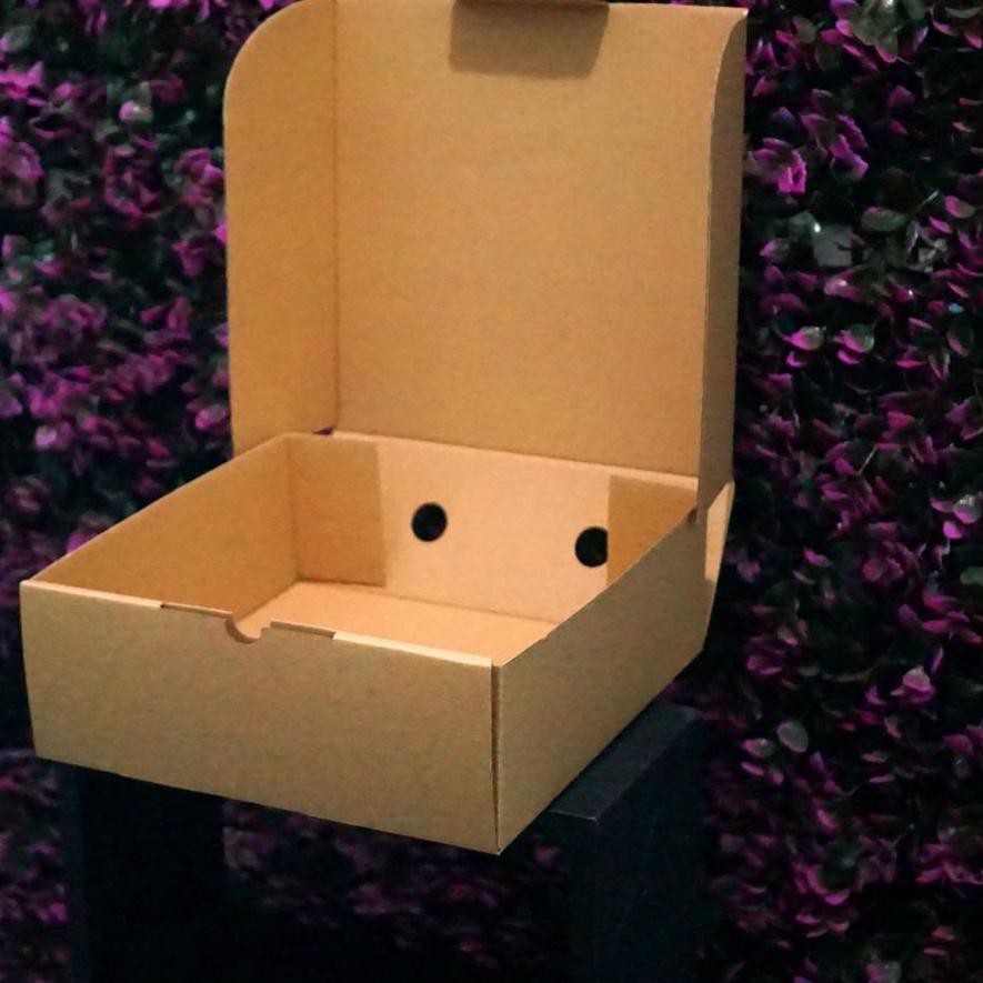 

TREN MASA KINI Kotak Packaging Polos Tinggi 25 x 25 x 12 cm - Pizza Box - Bentuk Kotak!!