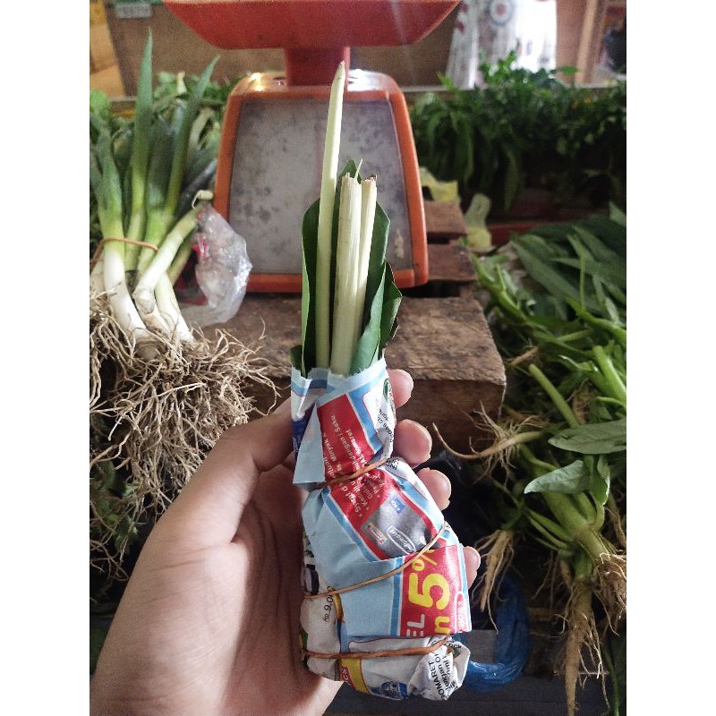 

Bumbu Dapur 1 Bungkus