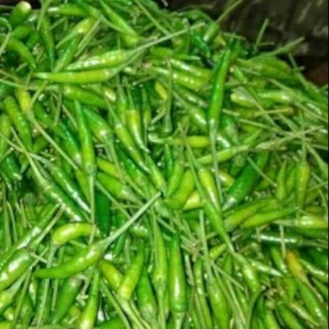 

Rawit caplak/cili padi