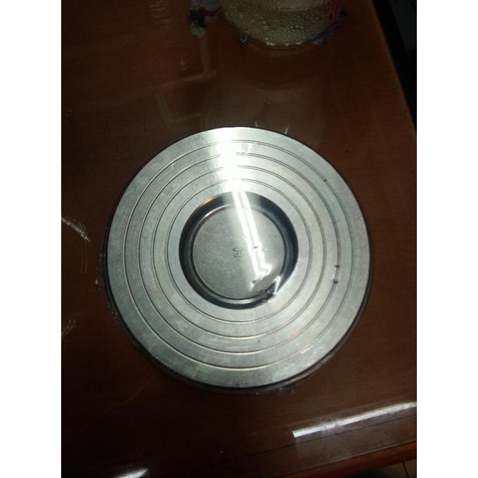Disco Check Valve / Wafer Check Valve Stainless 316 3/4 Inch