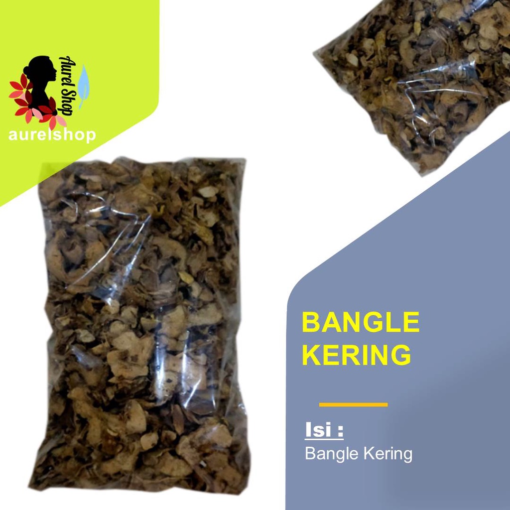 

Bangle Kering/ bangkle/ bengle/ bungle/ banglai/ Zingiber montanum