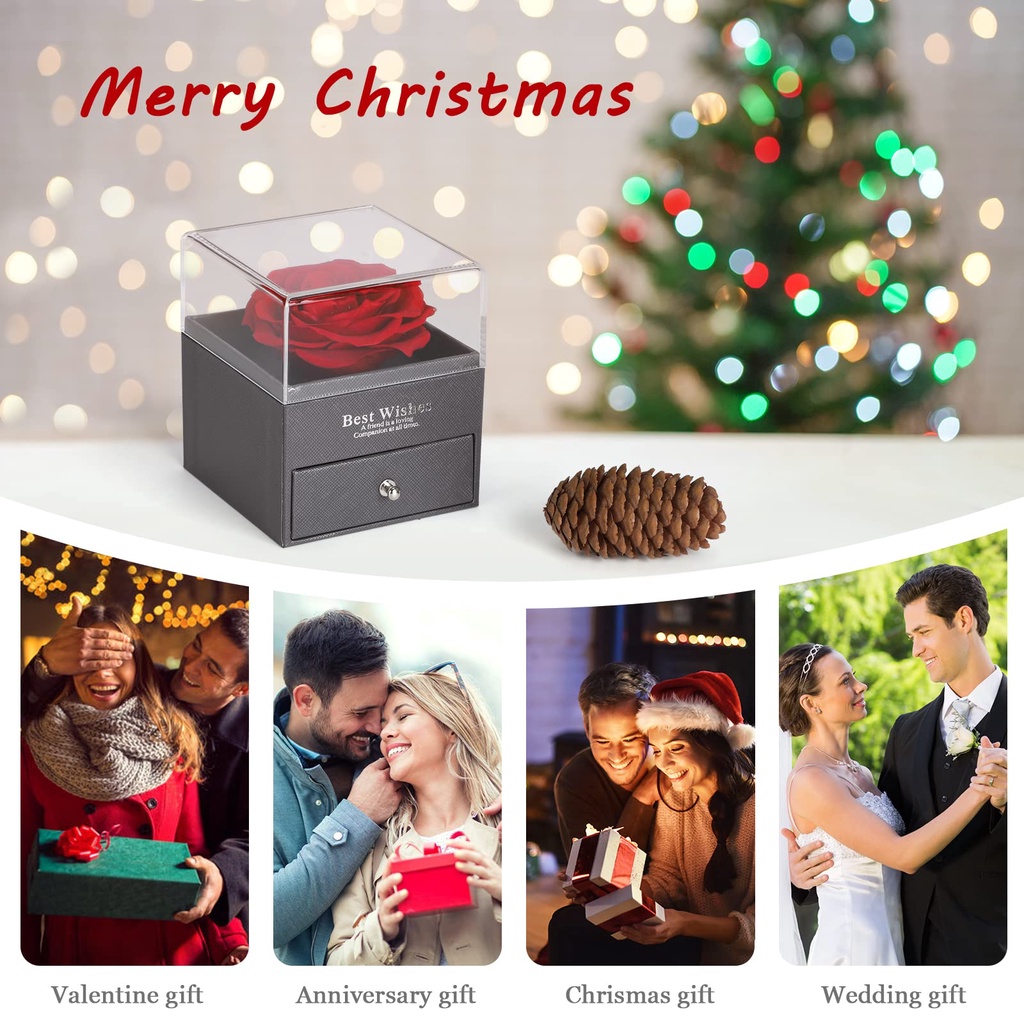 Topspo Tkalung cewek kotak hadiah Diawetkan Mawar Asli 925 Sterling Silver I Love You Kalung 100 Bahasa Buatan Tangan Kalung Hadiah Set I untuk Gadis Wanita Hari Ibu Ulang Tahun Ulang Tahun Hari Valentine Natal Bunga Mawar Asli Paket Hadiah Set Merah