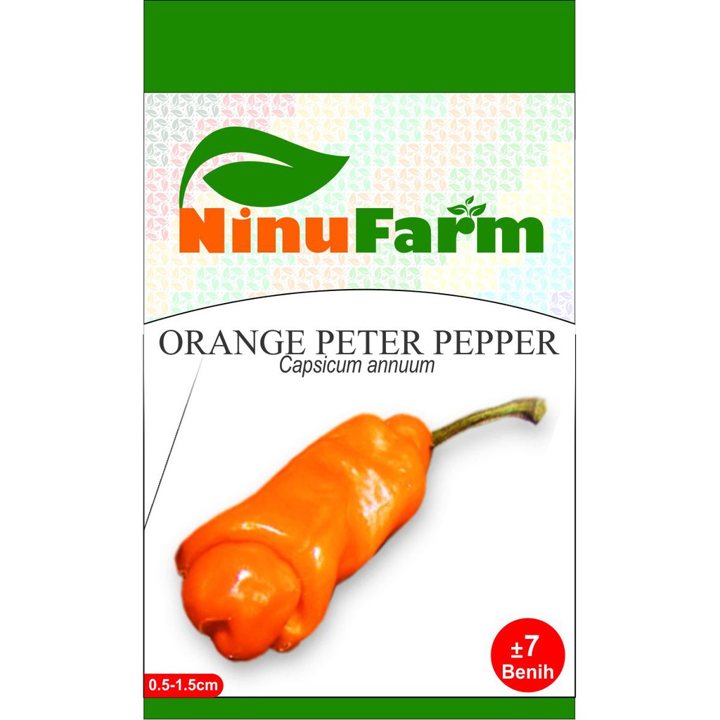 Benih Orange Peter Pepper 7Seeds