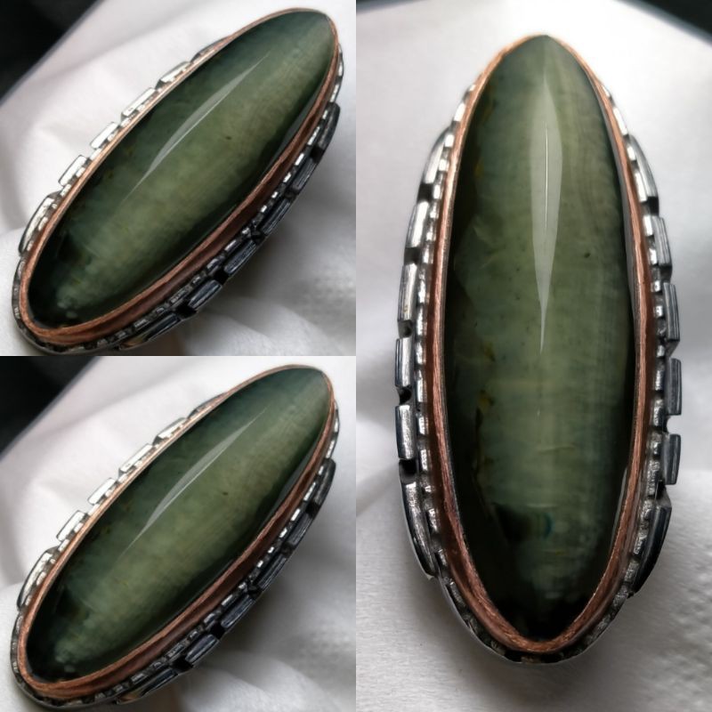 PANDAN LUMUT SISIK BETOK