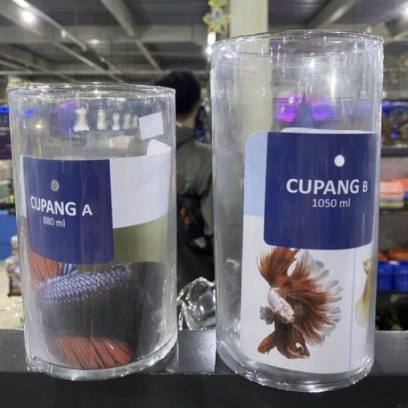 Aquarium cupang tabung kaca bening bahan gelas tebal kaca ikan hias kecil lucu mini tabung kaca