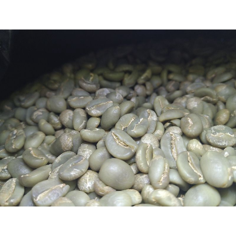 

greenbean kopi arabika gayo/aceh