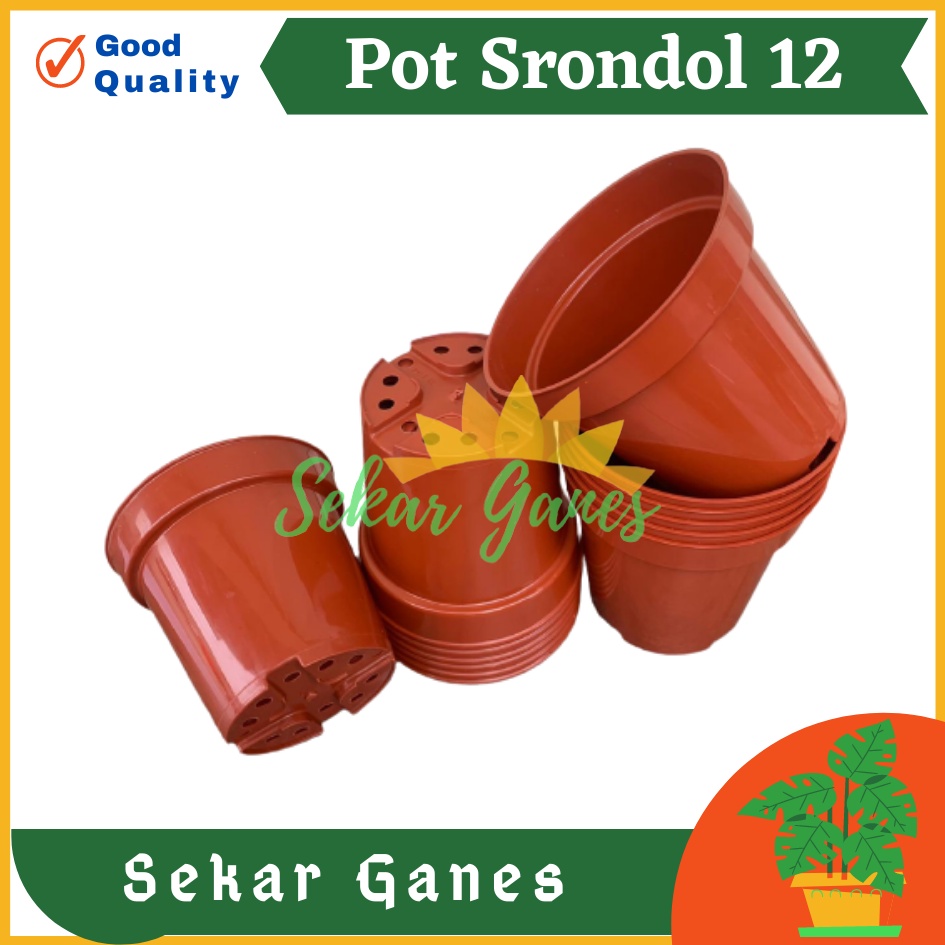 Pot Tinggi Srondol 12 Merah BataTerracota Coklat - Pot Tinggi Usa Effiel 18 20 25 Lusinan Pot Tinggi Tirus 15 18 20 30 35 40 50 Cm Paket murah isi 1 lusin pot tanaman Pot Bibit Besar Mini Kecil Pot Srondol Pot Bunga Termurah