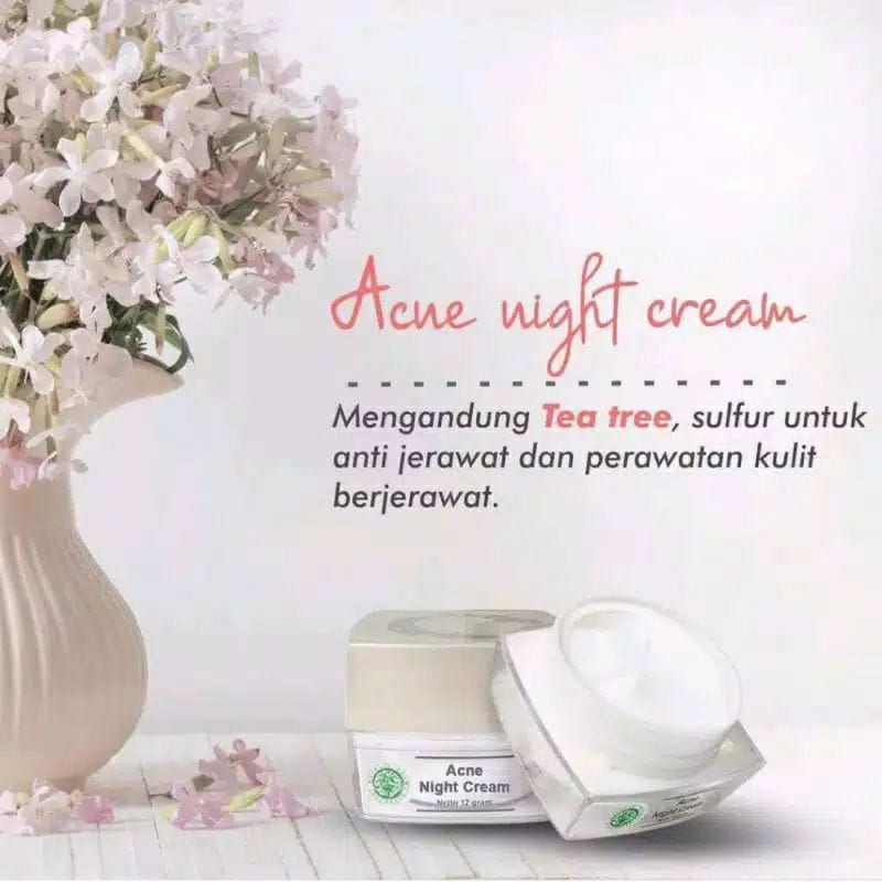 NIGHT CREAM MS GLOW/CREAM MALAM MS GLOW/ACNE NIGHT CREAM/ULTIMATE NIGHT CREAM/LUMINOUS NIGHT CREAM/WHITENING NIGHT CREAM/ORIGINAL 100%