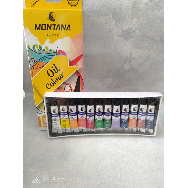 

'ARMA' Cat minyak MONTANA 12 warna