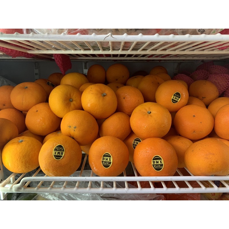 

jeruk wokam / jeruk mandarin wokam fresh
