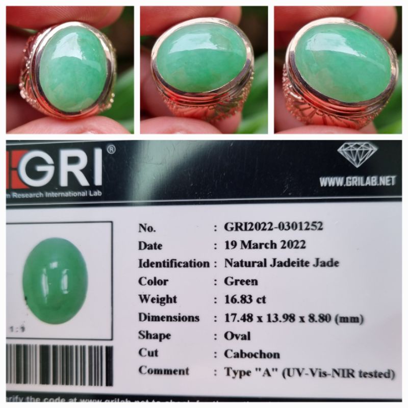 Natural Giok Burma Myanmar Type A Jadeite Jade Memo 16.83 crt