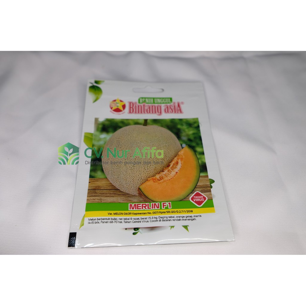 Benih Melon MERLIN F1 23 Benih - Bintang Asia