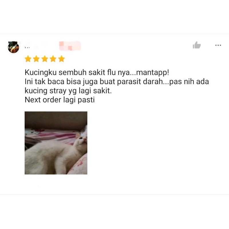 Xylincat flu demam sariawan calici parasit darah chlamydia kucing 1 kapsul