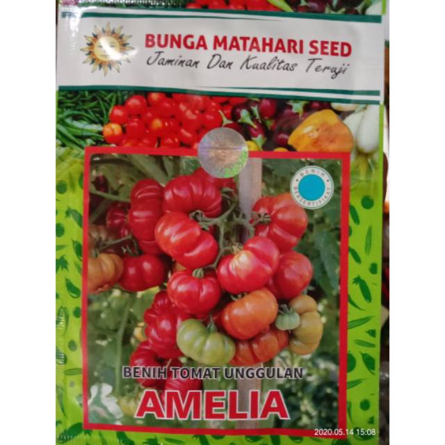 

Tomat mawar AMELIA