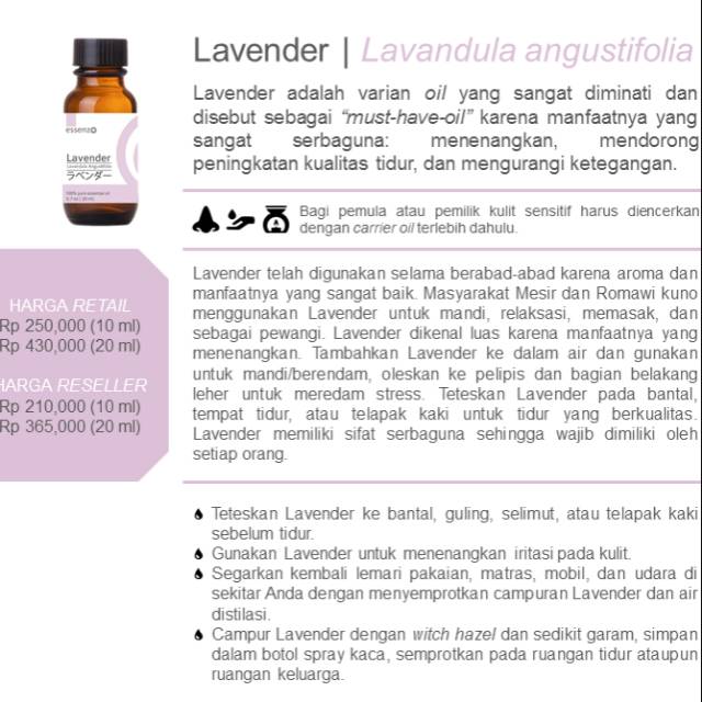 Lavender essenzo oil