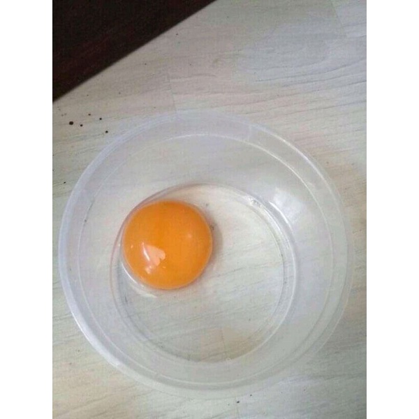 

Telur bebek mentah bebek liar/bebek angon