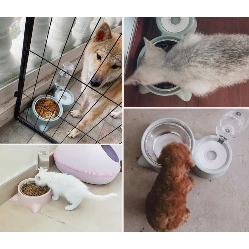 Pet Feeder Tempat Makan Minum Kucing Anjing Tempat Makan Hewan Otomatis 2 in 1 mangkuk Stainless Steel Auto Water Feeder Dispenser  Plate