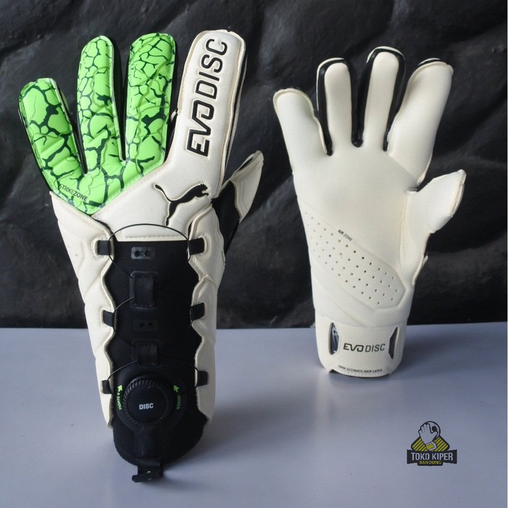 puma evodisc