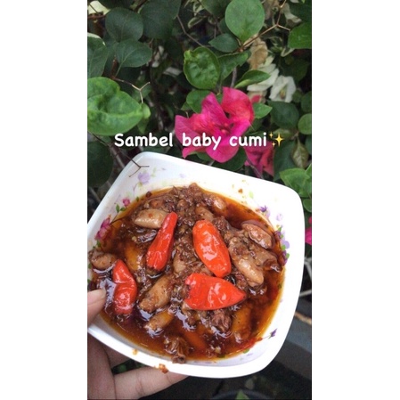 

sambal cumi