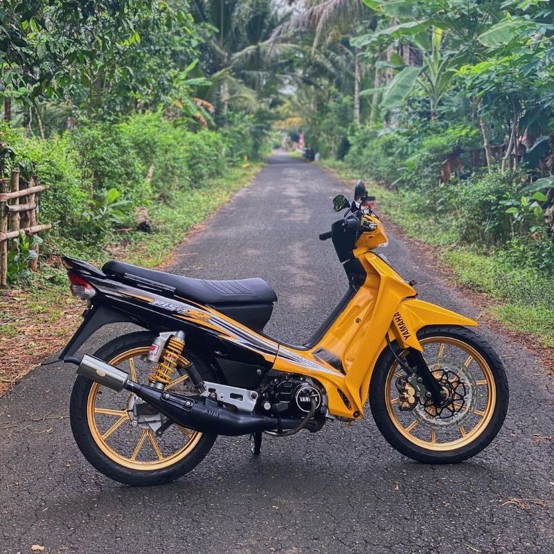 striping fiz - r / les fiz r variasi - stiker fiz r variasi - striping f1zr full clutch sporty