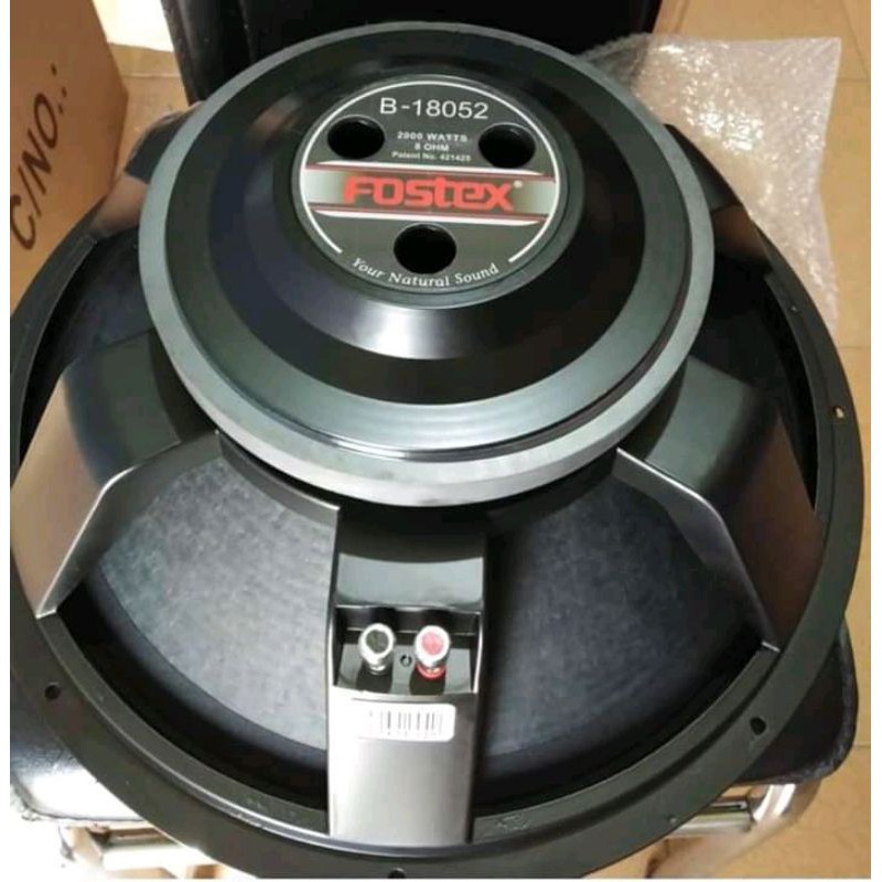 spesifikasi speaker fostex 18 inch