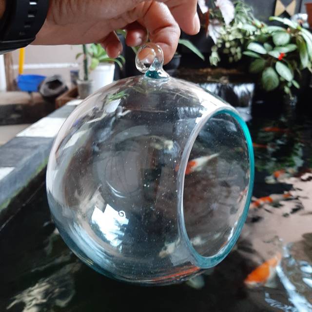 Terrarium / glass dome / tempat mahar / pengait
