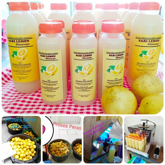 

Sari Lemon Murni