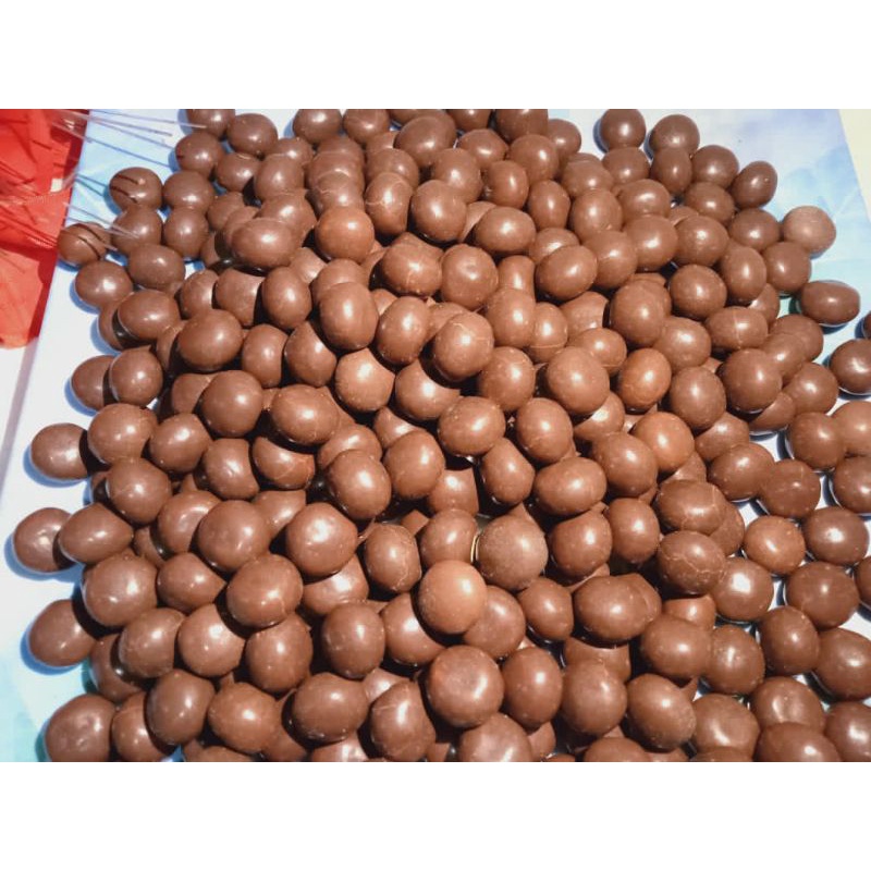 biskuit coklat bulat