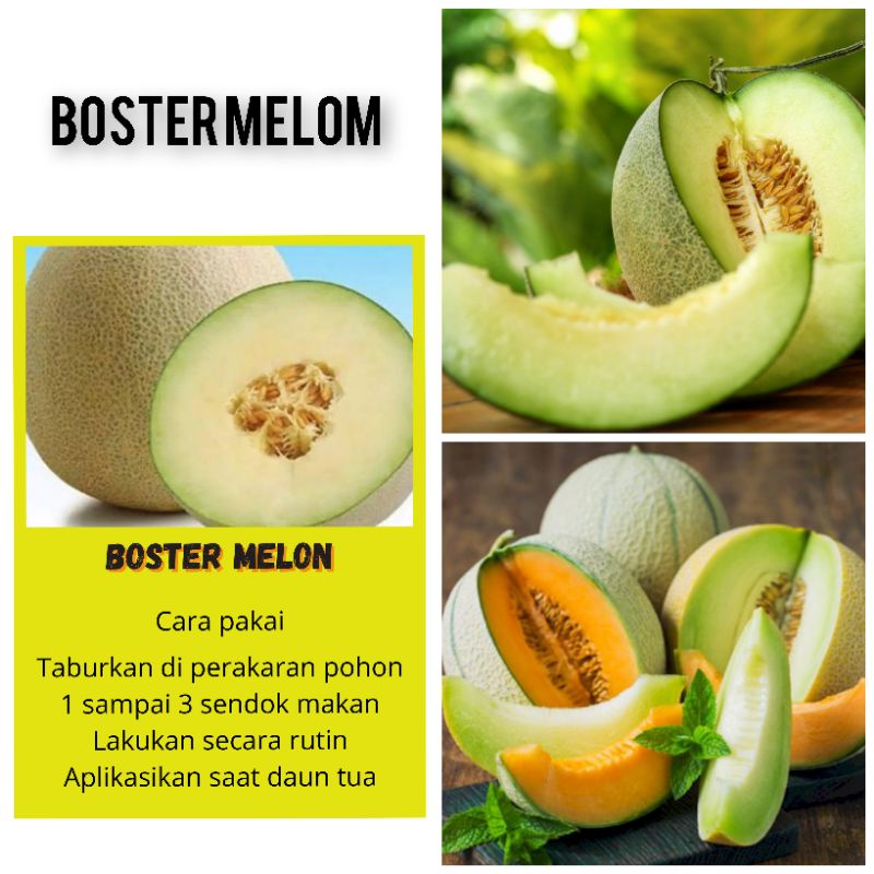 PUPUK BUAH MELON PUPUK BUAH PUPUK TANAMAN HIAS PUPUK SAYURAN PUPUK BUAH BOSTER MEDIA TANAM BOSTER TE