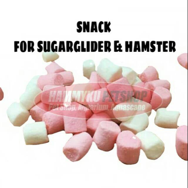 MAKANAN HAMSTER SUGAR GLIDER - SNACK HAMSTER SUGAR GLIDER KELINCI