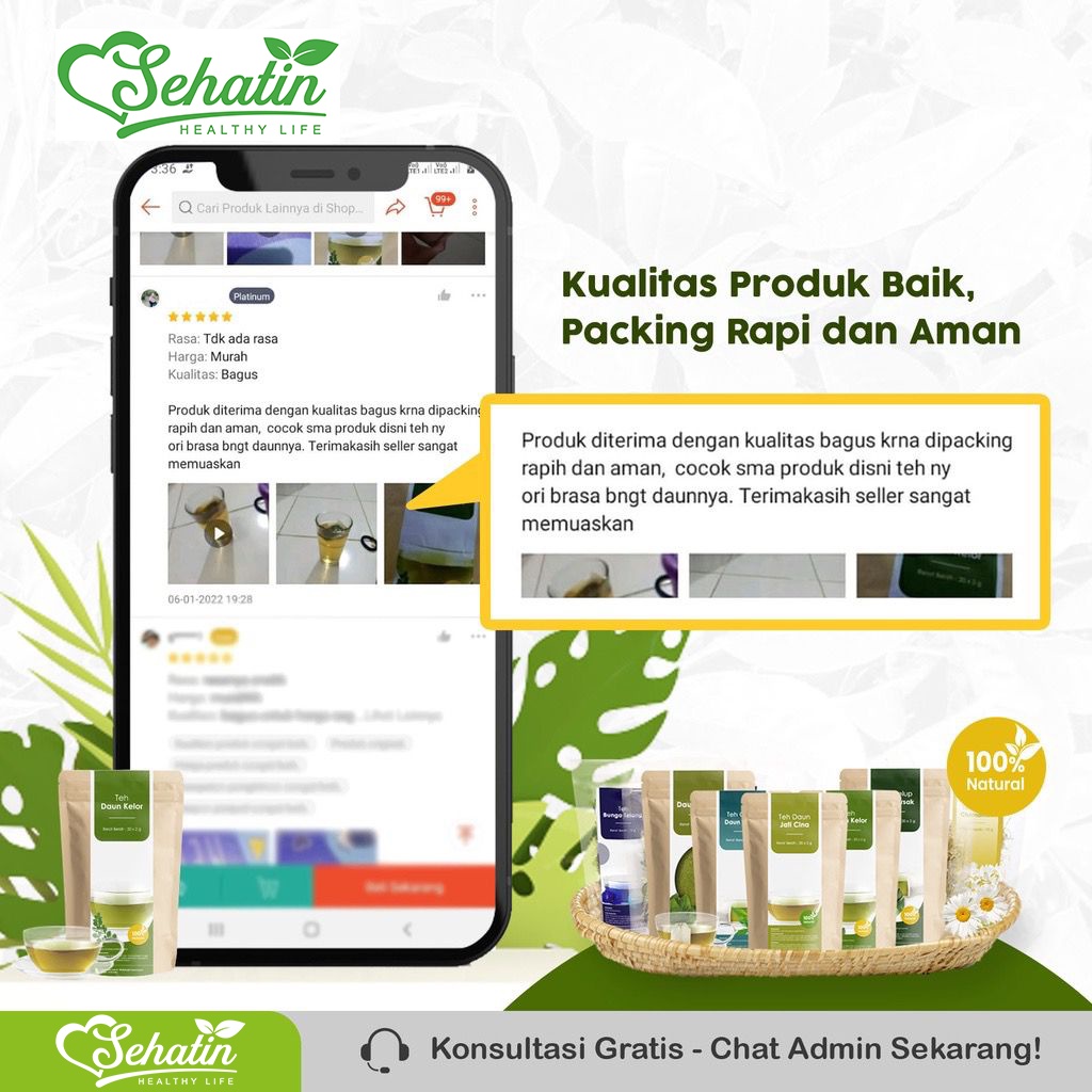 TEH CELUP DAUN KELOR 100% Organik Asli Anti-Kanker, Diabetes, Tingkatkan Imunitas dan Kekebalan Tubuh Original