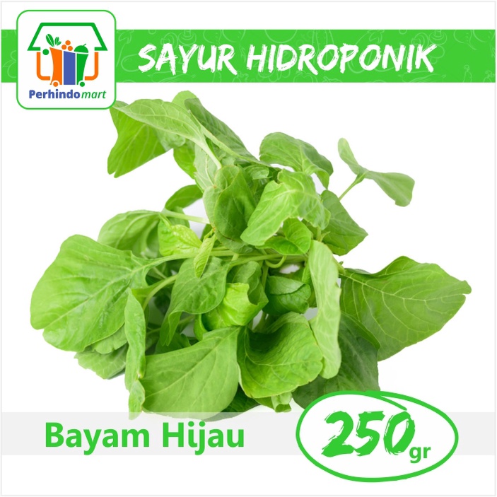 

Bayam Hijau Hidroponik (Surabaya & Sidoarjo only)