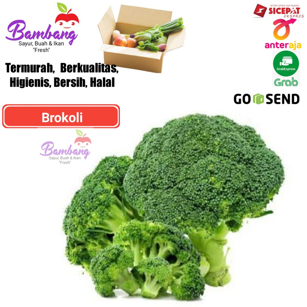 

brokoli sayur brokoli brokoli segar brokoli fresh 500 gram
