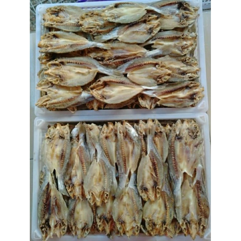 

selungsungan