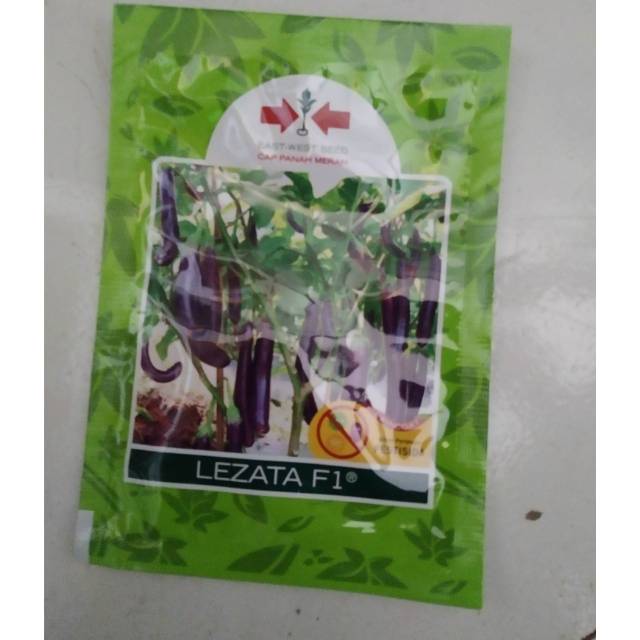 benih terong Ungu lezata isi banyak