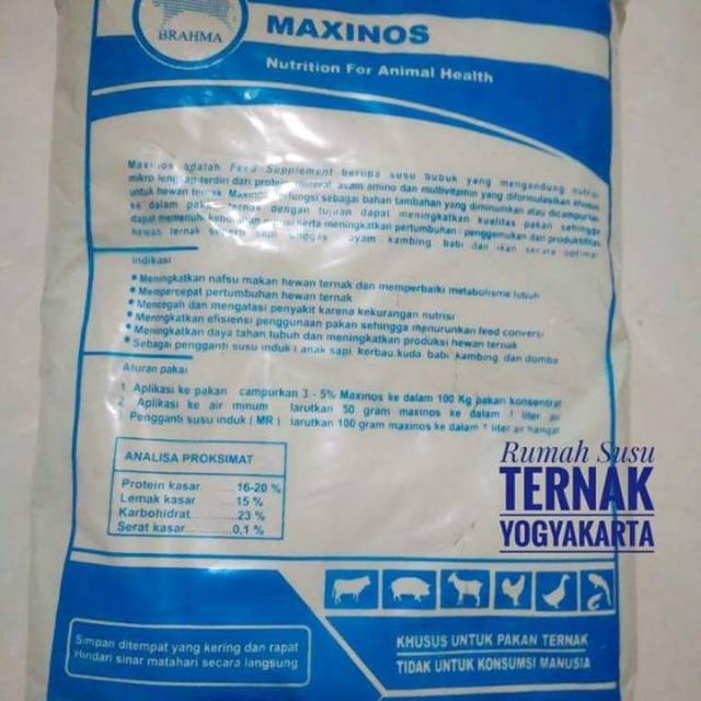 Susu Pakan Ternak Maxinos
