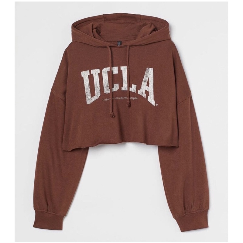 Ucla Hoodie Sweater Semi Crop Premium